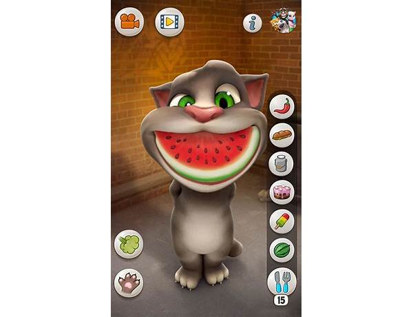 hadister toptomu for Android - Download the APK from Habererciyes